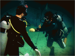 Teaching Open Water Presentations 2015