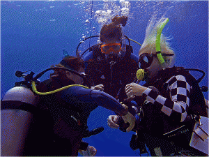 PADI IDC Open Water Skills