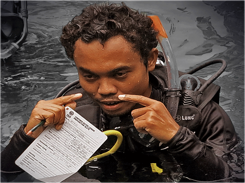 PADI IDC 2015