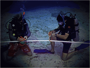 Knot Tying Underwater