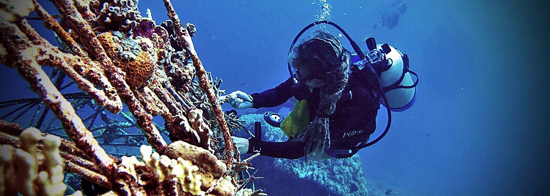 PADI IDC Gili Islands Reef Restoration Instructor Development Program