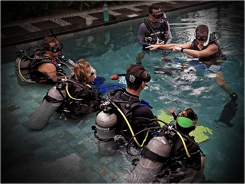 PADI IDC Indonesia Confined Water organization